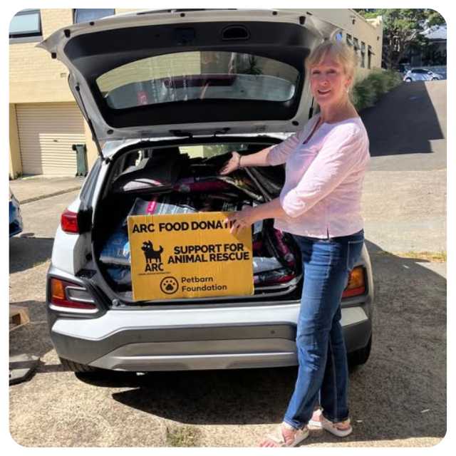 ARC Donation of cat food and supplies