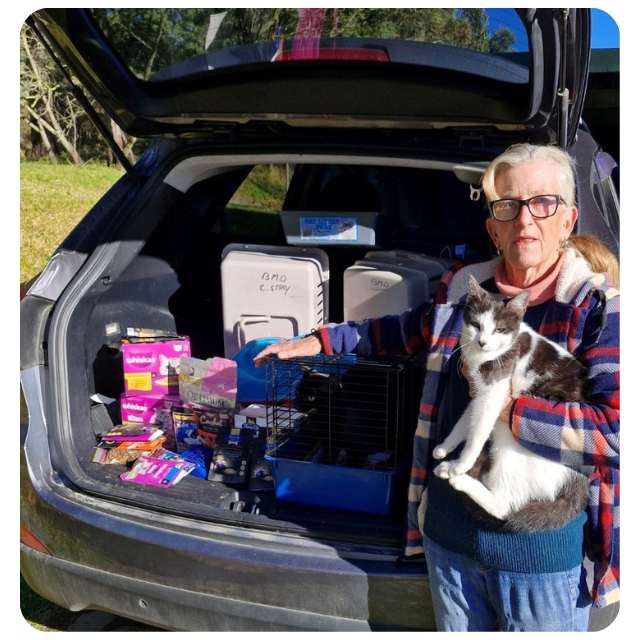 Catmobile Update