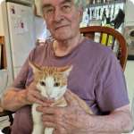  Rescue Cat Adoption Story Fox – Now Mr Bean 