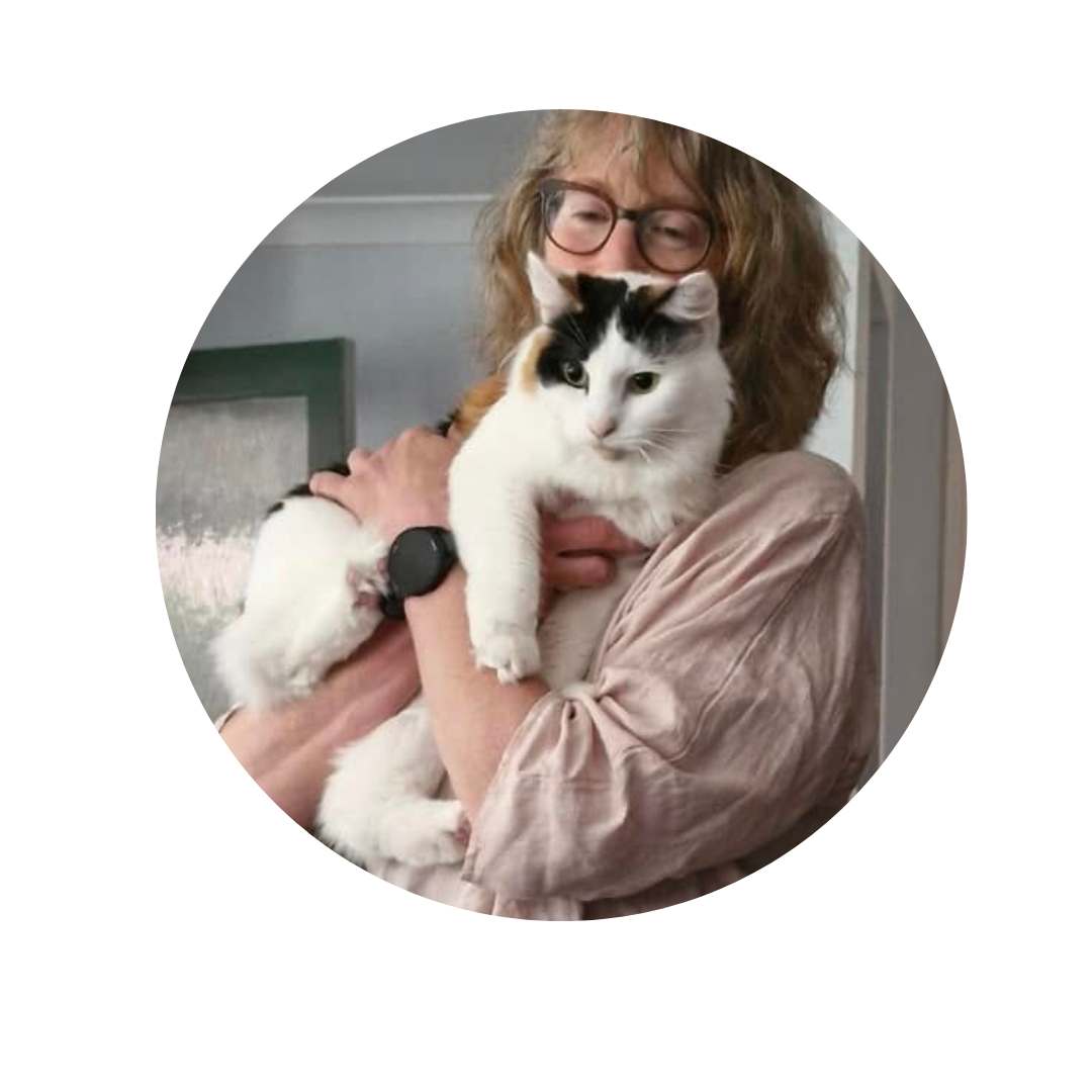 Rescue Cats - Companions Who Change Everything