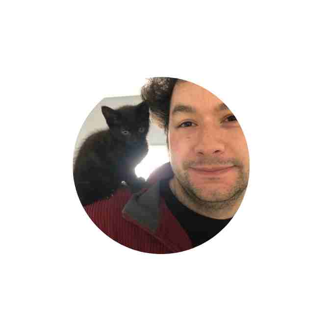 Cat Foster Carer Ethan Cat Foster Carer Ethan