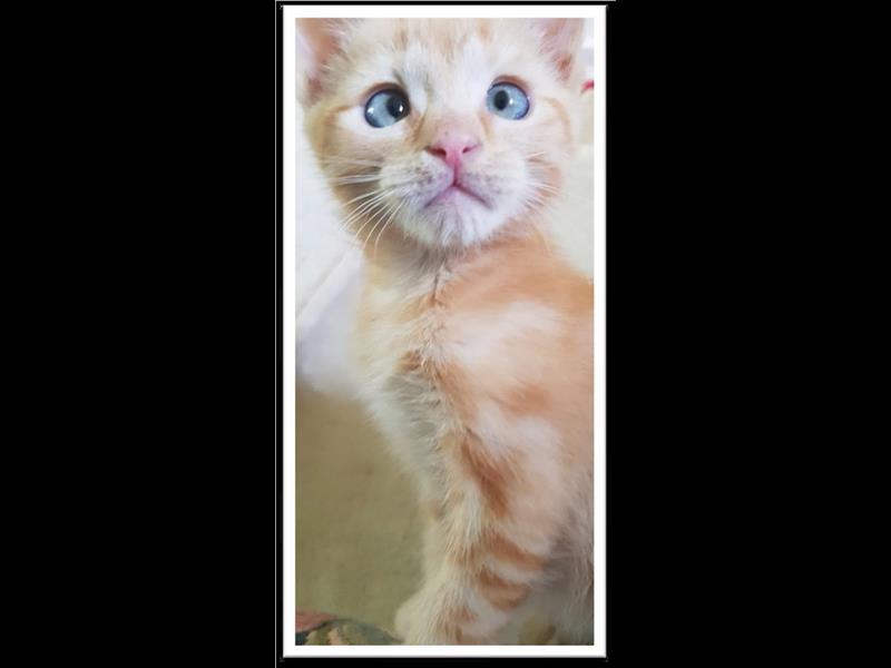 February 2023 Newsletter