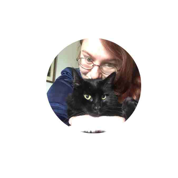 Cat Foster Carer Krystelle Cat Foster Carer Krystelle