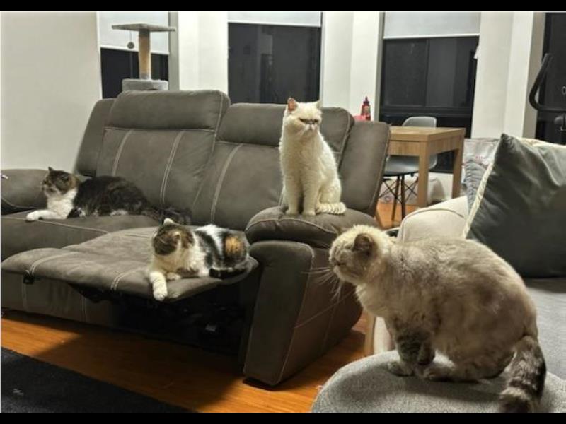 November 2022 Newsletter