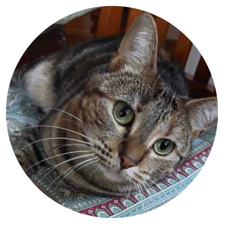 Assisted Rehoming Spook Assisted Rehoming Spook