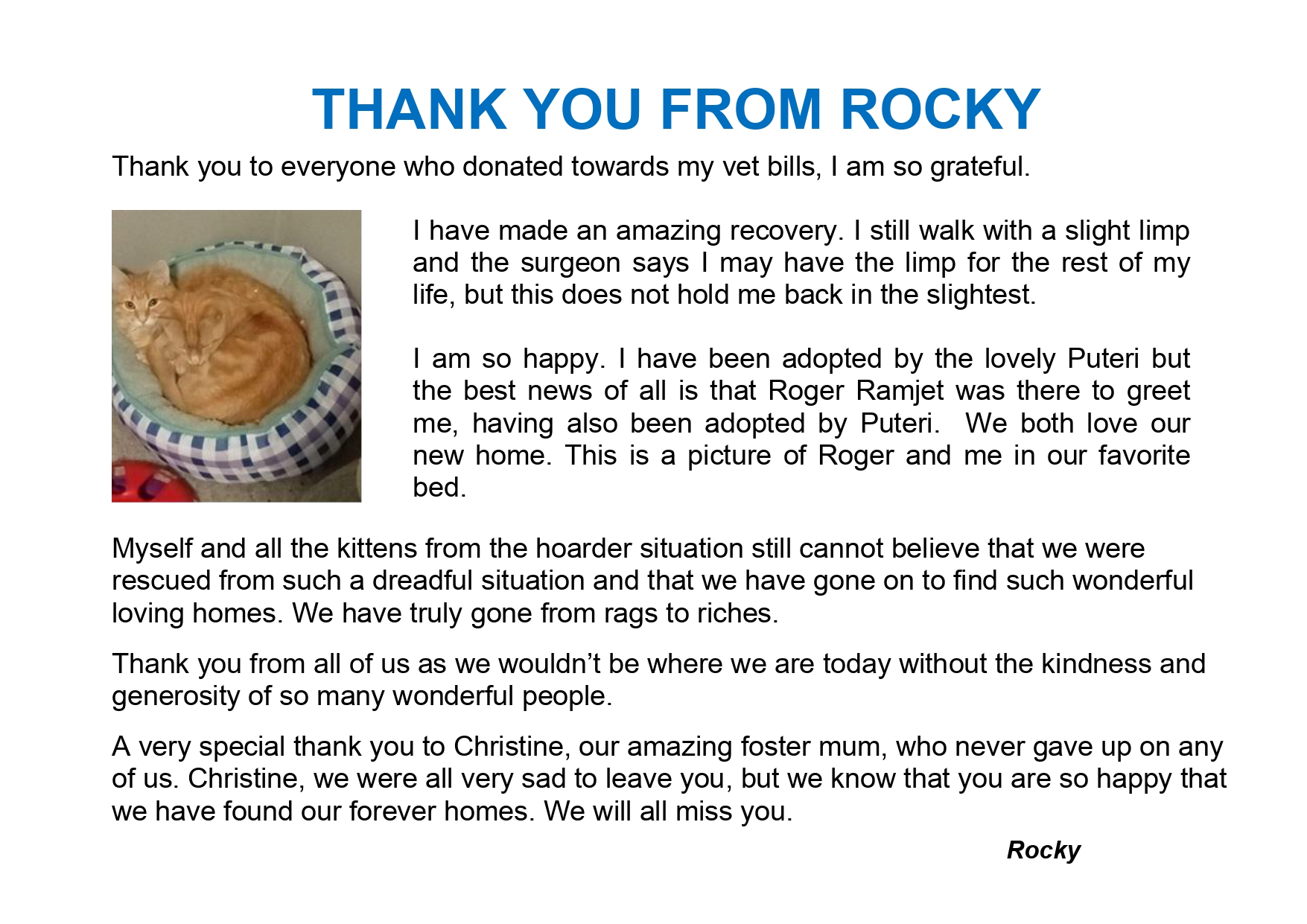 Thank you from Rescue Cat Rocky Thank you from Rescue Cat Rocky