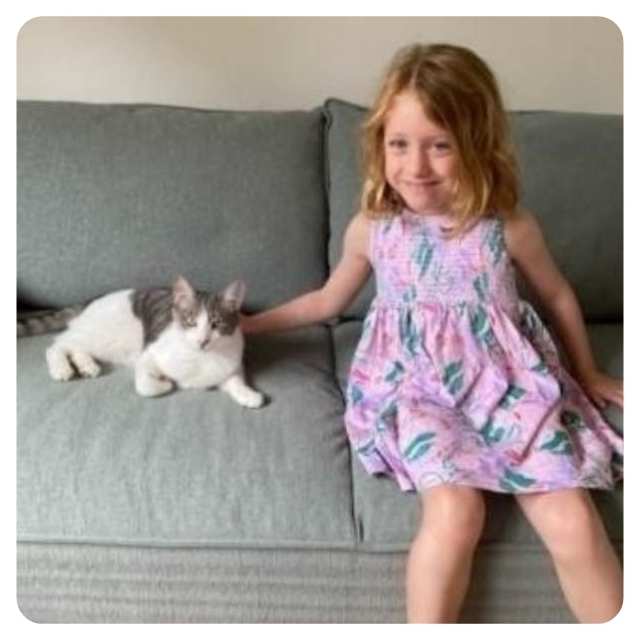 Cat Rescue Stories Rescue Kittens Benson and Betty Happy Ending Cat Adoption Story Theodore