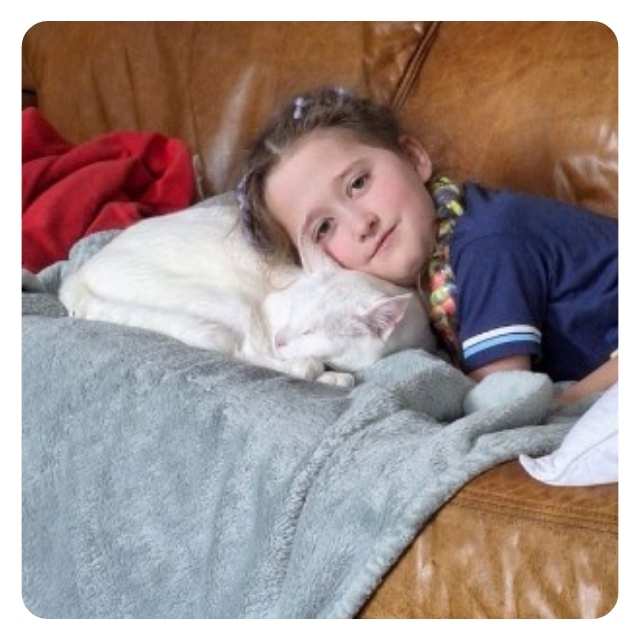 Tom has found his purrfect forever home and Adoption Happy Ending Tom has found his purrfect forever home and Adoption Happy Ending