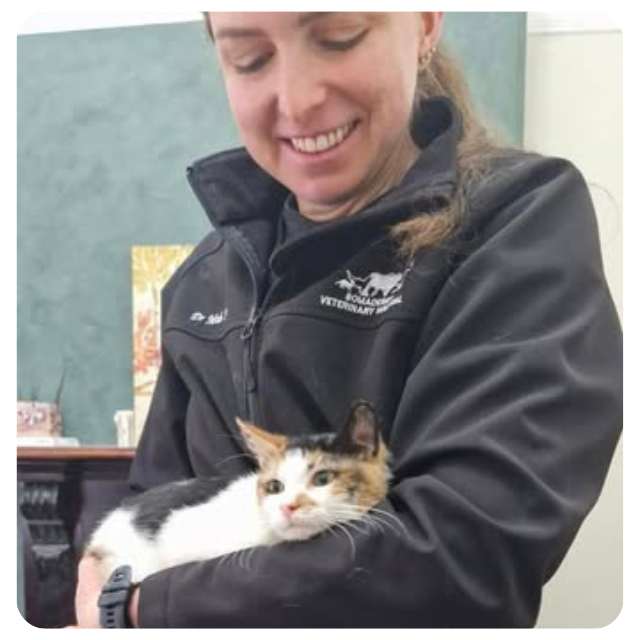 Tosca's Rescue and Recovery Story Tosca's Rescue and Recovery Story