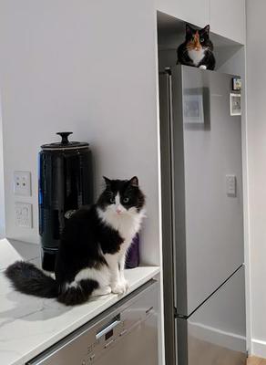 Who said we were not allowed?