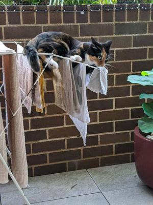 A great help with the drying!