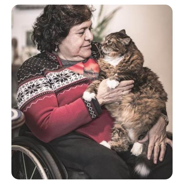 Rescue Cat with Lady in Wheel Chair Rescue Cat with Lady in Wheel Chair