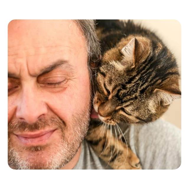 Rescue Cat Snuggling Bliss Rescue Cat Snuggling Bliss