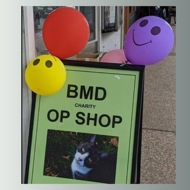 Opshop Katoomba BMD Cat Welfare
